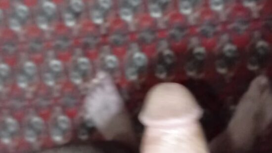 Penis